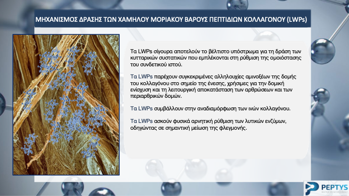 Slide15.png