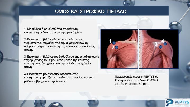 Slide24.png