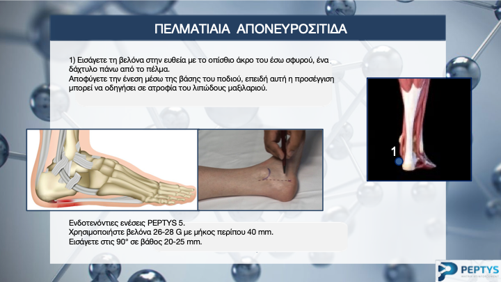 Slide29.png